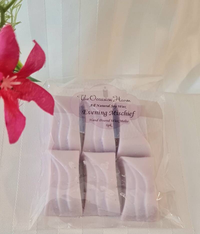 Wax Melts & Electric / Plug In Melters