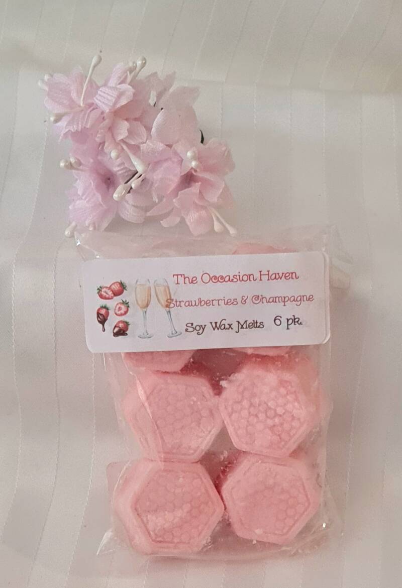 Wax Melts & Electric / Plug In Melters